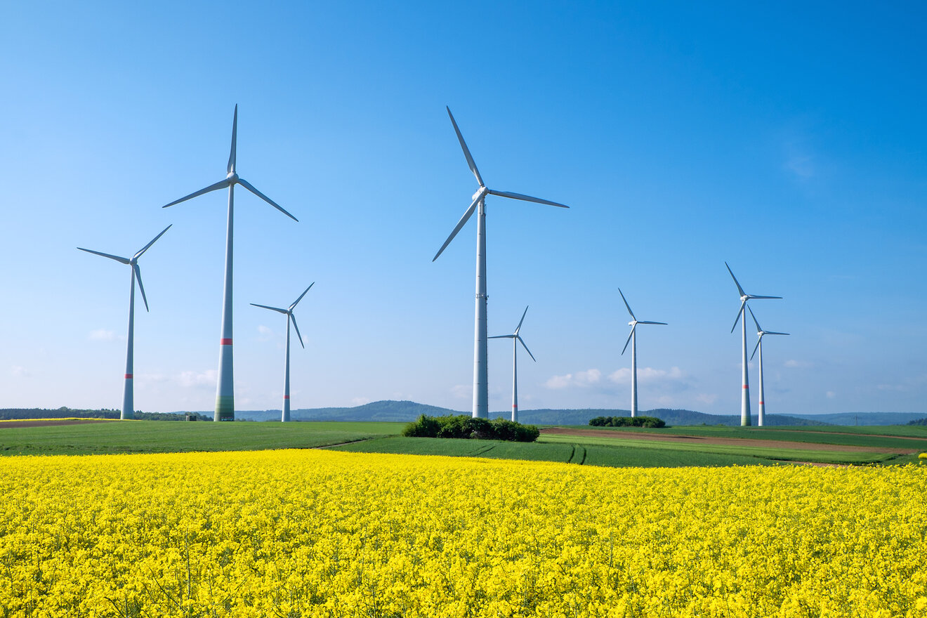 Rapsfeld mit Windräder, Foto:fotolia_elxeneize Windräder, Windmühlen