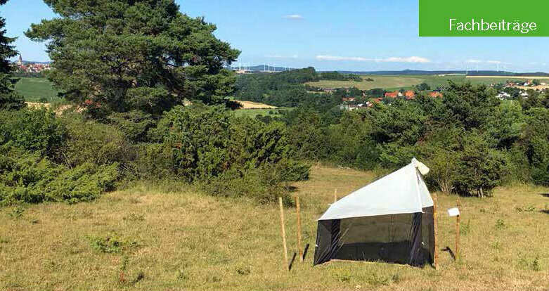 Malaisefalle im Naturschutzgebiet Weldaer Berg (Kreis Höxter)