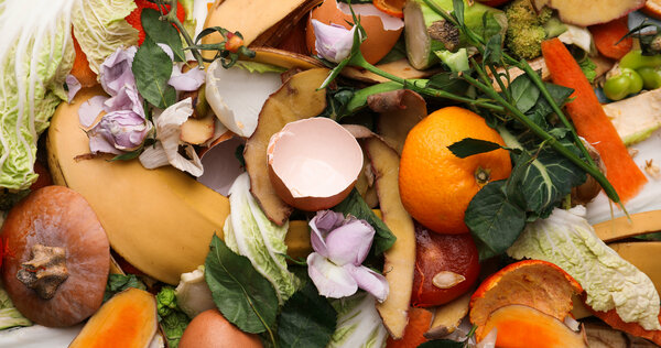 background, natural, nature, plant, food, object, organic, environment, biology, ecological, ecology, household, conservation, eco, bio, waste, trash, recycle, compost, garbage, zero, peel, recycling, sustainable, fertilizer, biodegradable, composite, composting, decomposed, closeup, different, pile, heap, banana, orange, citrus, tangerine, apple, pumpkin, fruits, vegetables, potato, egg, shell, cabbage, scraps, concept, home, domestic, background, natural, nature, plant, food, object, organic, environment, biology, ecological, ecology, household, conservation, eco, bio, waste, trash, recycle, compost, garbage, zero, peel, recycling, sustainable, fertilizer, biodegradable, composite, composting, decomposed, closeup, different, pile, heap, banana, orange, citrus, tangerine, apple, pumpkin, fruits, vegetables, potato, egg, shell, cabbage, scraps, concept, home, domestic