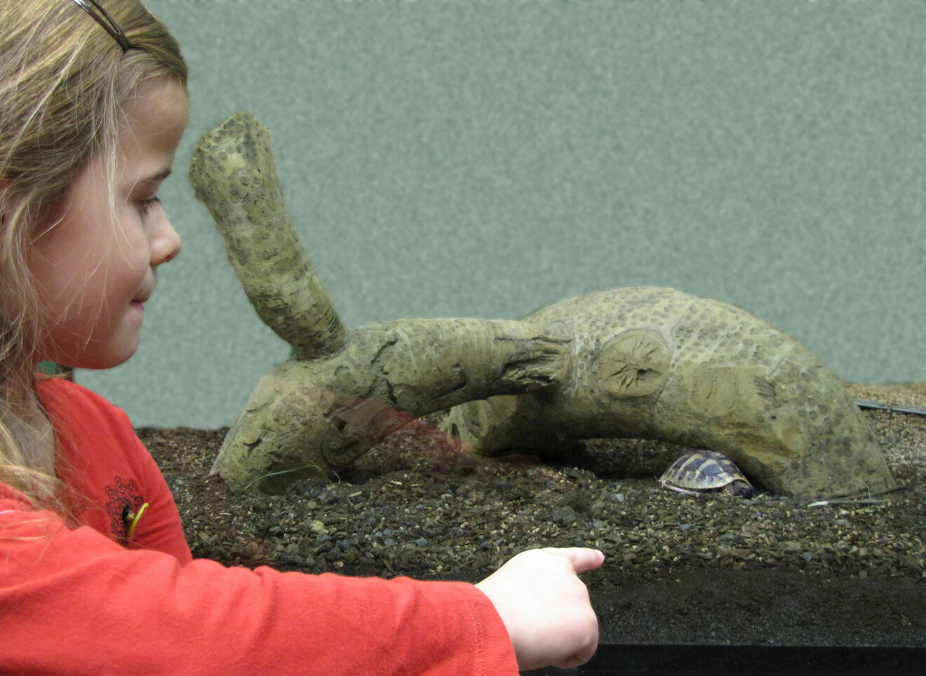 © LANUV/C. Brinkmann © LANUV/C. Brinkmann