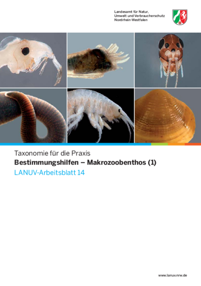 Taxonomie für die Praxis
Bestimmungshilfen - Makrozoobenthos (1)
