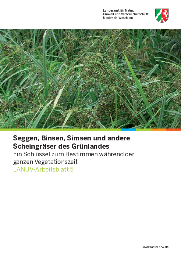 Seggen, Binsen, Simsen und andere Scheingräser des Grünlandes - Bestimmungsschlüssel