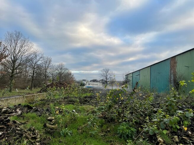 zugewachsener Biofilter