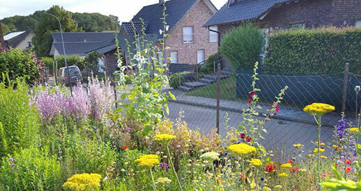 Foto: Biologische Station Düren 