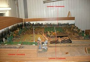 Aufbau der Lysimeteranlage Neuenkirchen-Sankt_Arnold_NRW (37107108)