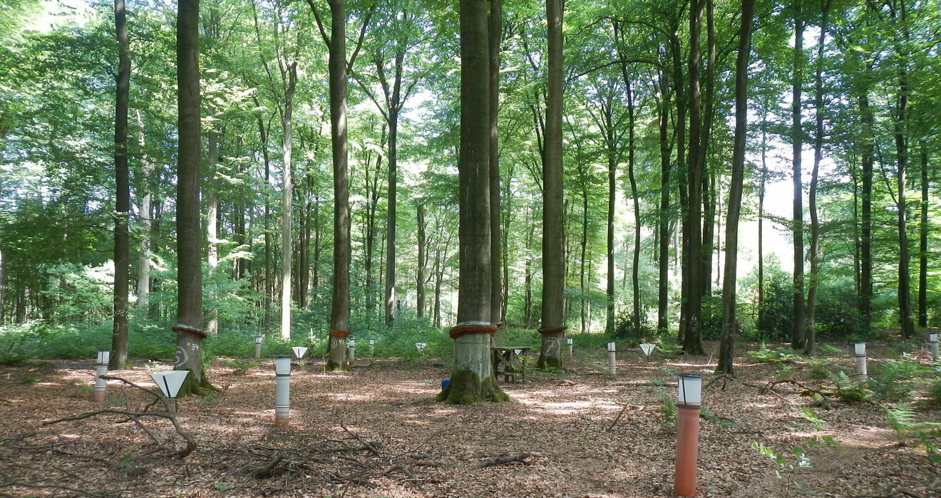 Foto: Nadine Eickenscheidt 