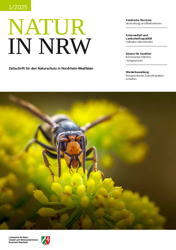 Titelseite der Ausgabe 1/2025 der Zeitschrift Natur in NRW