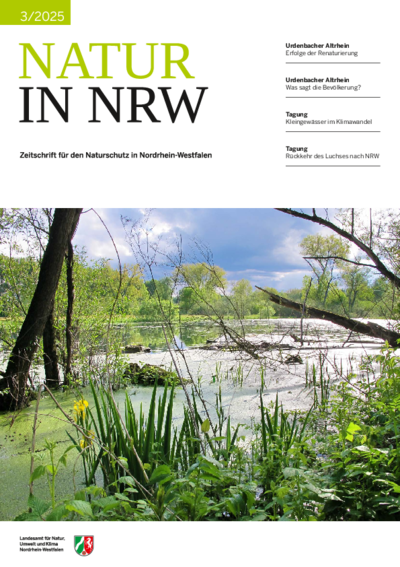 Titelseite der Ausgabe 3/2025 mit einem Foto von einer Stillgewässerzone am Urdenbacher Altrhein