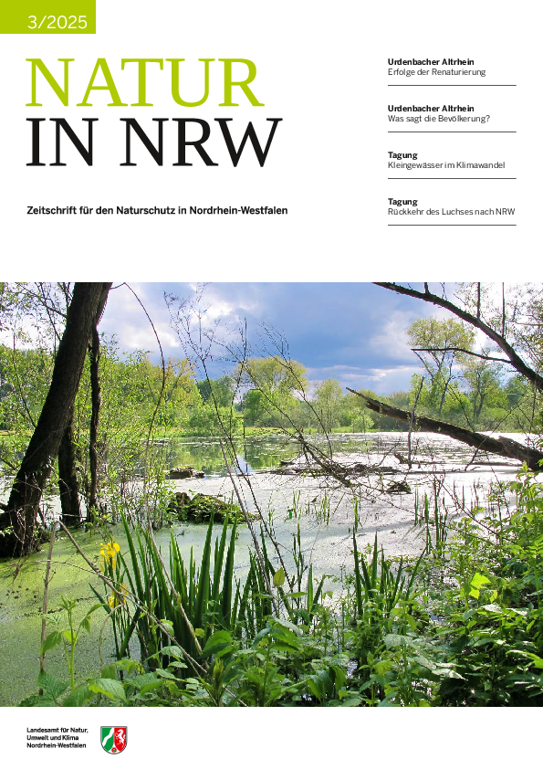 Titelseite der Ausgabe 3/2025 mit einem Foto von einer Stillgewässerzone am Urdenbacher Altrhein