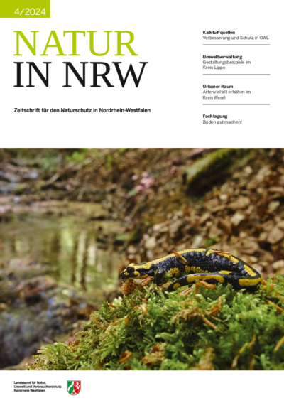 Die Titelseite der Ausgabe 4/2024 der Zeitschrift Natur ist zu sehen. Auf dem Titelfoto sitzt ein Feuersalamander auf einem Moospolster. Im Hintergrund ist Waldboden und ein Teil eines Bachoberlaufes zu sehen. 