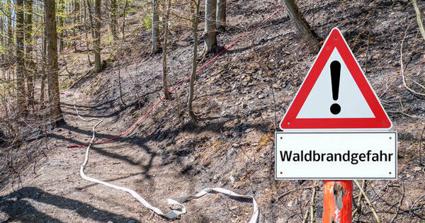 Wald, Waldbrandgefahr