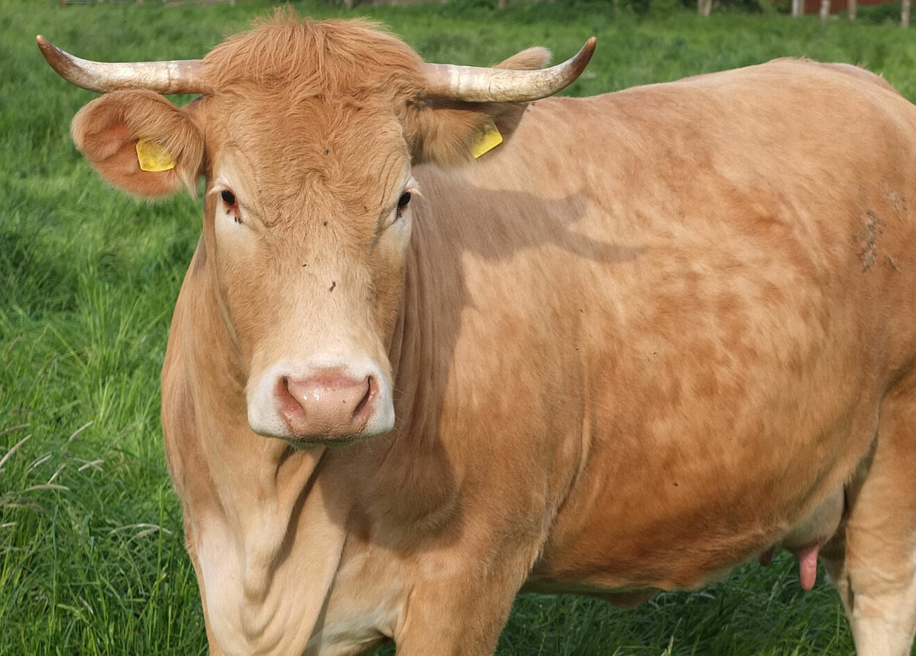 ©LANUV/A.Donth ©LANUV/A.Donth