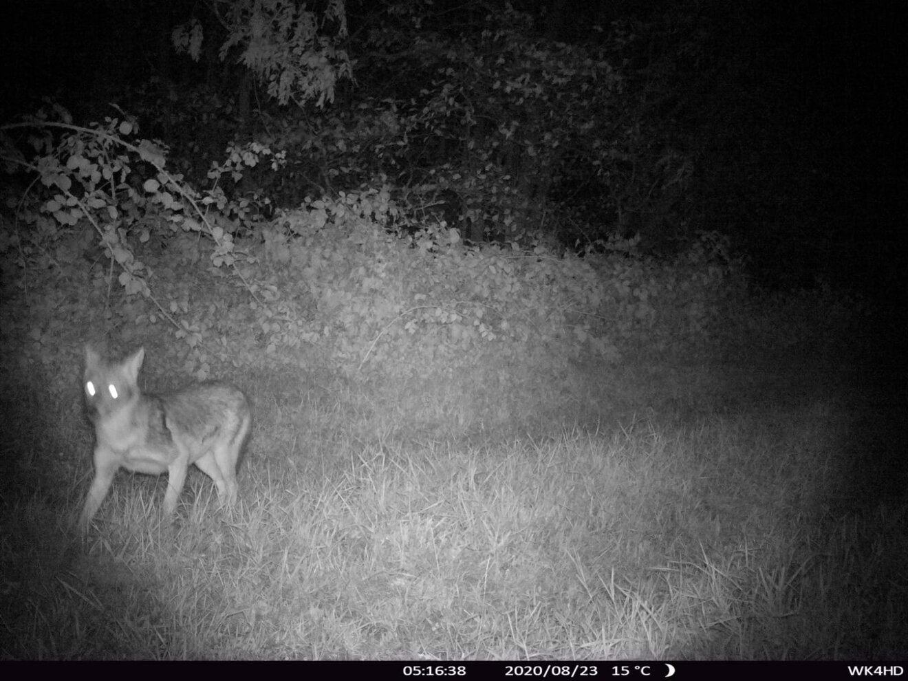 ©Odin Franke ©Odin Franke