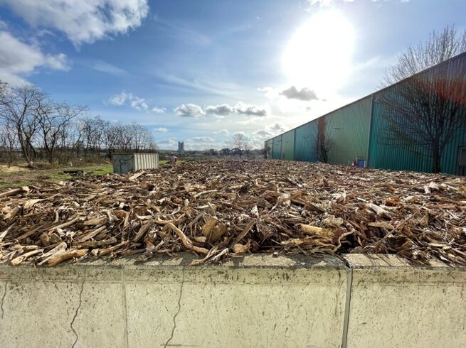 Biofilter mit frischem Wurzelholz