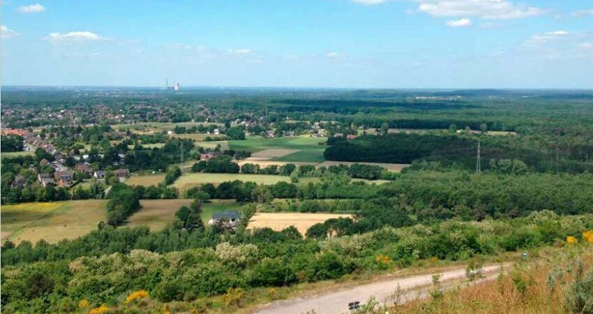 Foto: Alexandra Muehlenberg Foto: Alexandra Muehlenberg