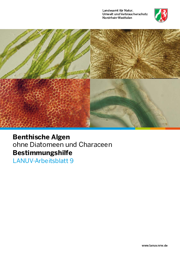 Benthische Algen ohne Diatomeen und Characeen - Bestimmungshilfe