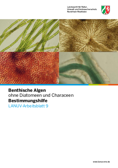 Benthische Algen ohne Diatomeen und Characeen - Bestimmungshilfe