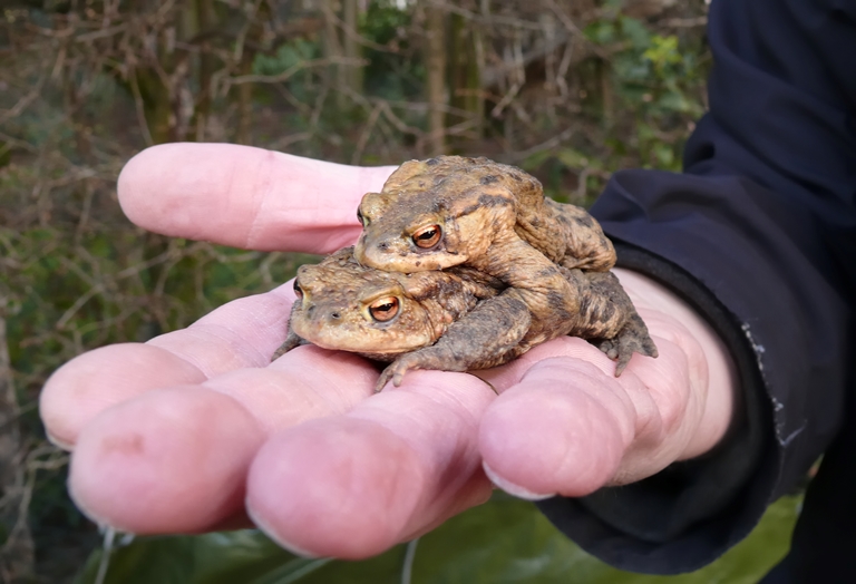 © LANUV/C.Brinkmann © LANUV/C.Brinkmann