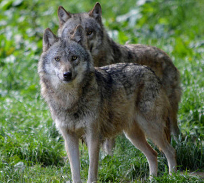 © J. Preller © J. Preller