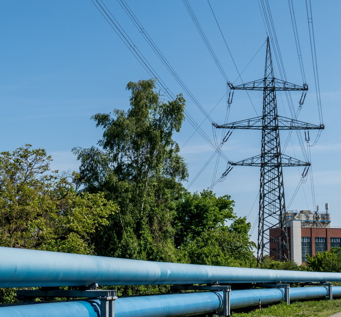 © AdobeStock_focus_finder © AdobeStock_focus_finder