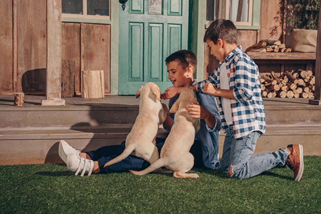 Kinder mit Hundewelpen, Foto:Panthermedia