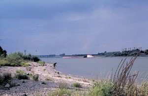 Trinkwassergewinnung am Rhein