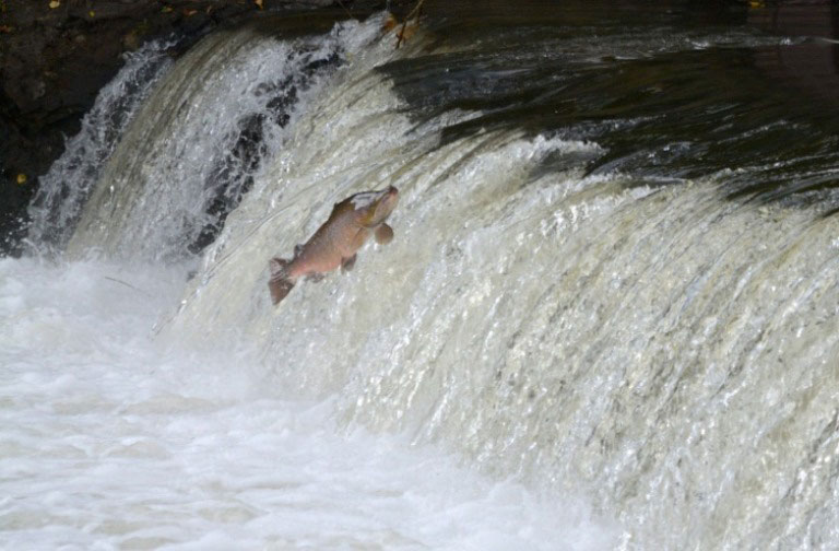 © LANUV/Schütz © LANUV/Schütz