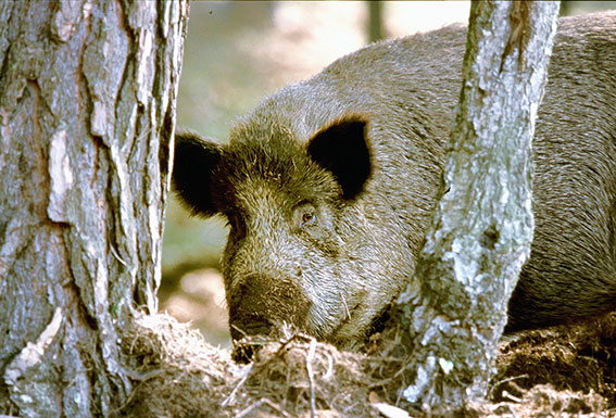 © LANUV/Schütz © LANUV/Schütz